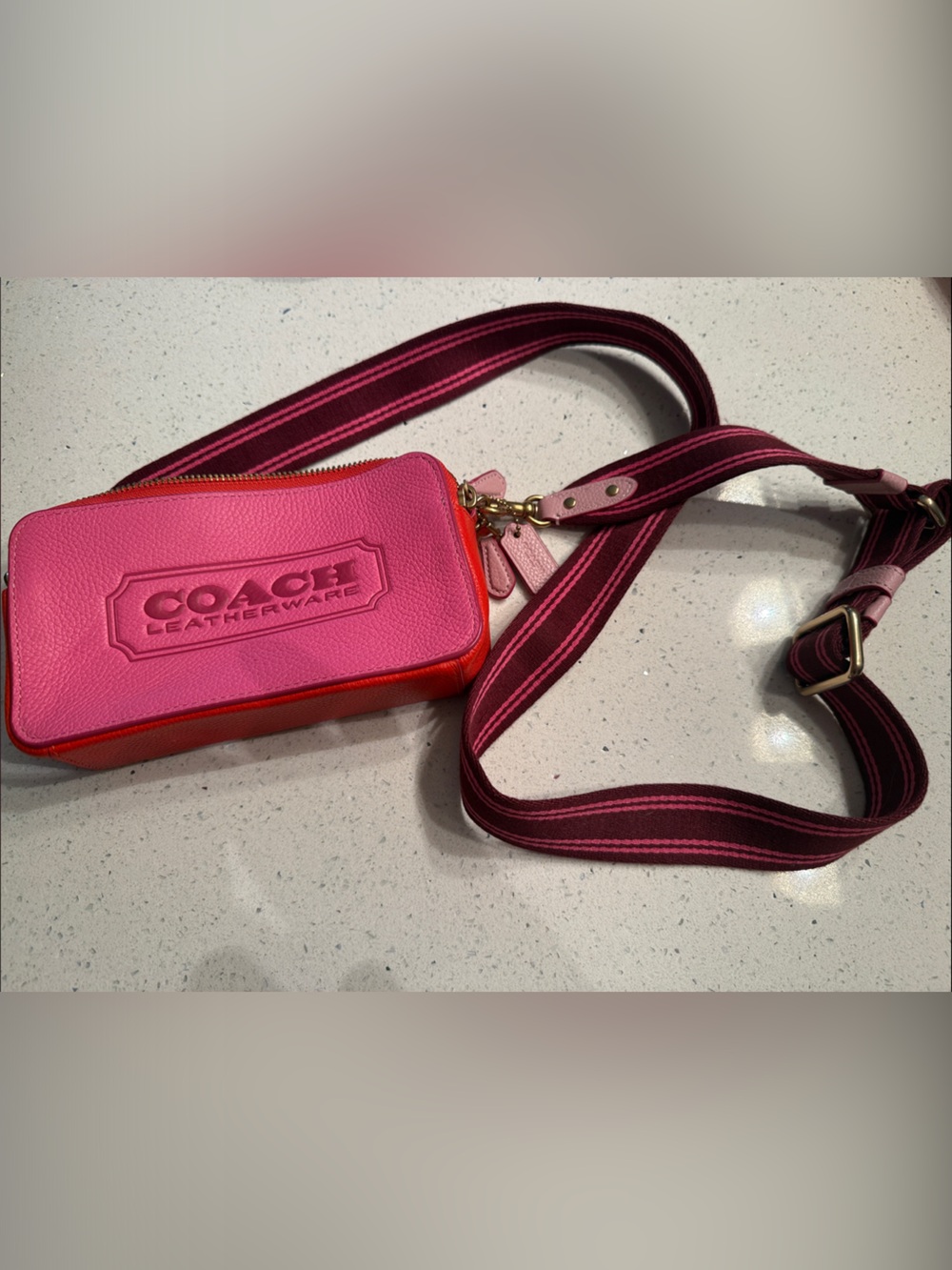 COACH Pink Leather Crossbody Wristlet with Striped Strap